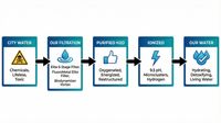 Water process diagram showing city water to purified ionized water